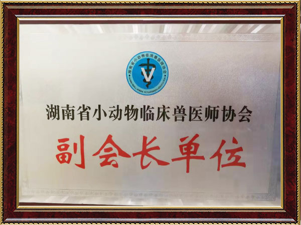 企业荣誉5