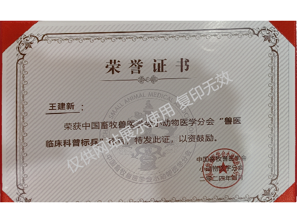荣誉证书